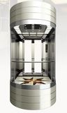 Fujizy 1.0m/S 1000kg Panoramic Elevator with Machine Room Less with TUV Approved