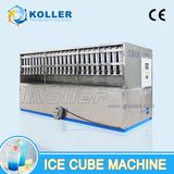 Stable Capacity 5 Tons Ice Cube Machine with World Famous Spare Parts