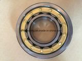 China Bearing Supplier Heavy Duty Cylindrical Roller Bearing Nn3019