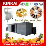 Fruit and Vegetable Drying Oven / Food Drying Machine / Food Dehydrator