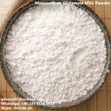China Wholesale Condiment Monosodium Glutamate Msg Powder