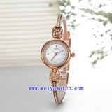 Hot Selling Custom Quartz Vogue Casual Wrist Watches (WY-010C)