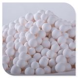 Activated Alumina as Absorbent for H2O2