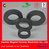 Strong Pamernent Y30 Ferrite Ring Magnet