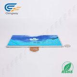 in Stock 10.1