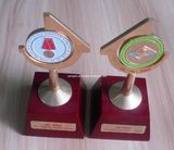 Custom Design Gold Souvenir Trophy (ASNY-JL-trophy-13111801)