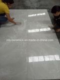 Building Material Natural Stone Foshan Full Body Marble Floor Tiles