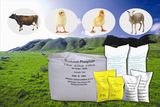 Fedd Grade DCP, MDCP, Mcp, Monocalcium Phosphate