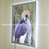 Famous Advertising Rotating LED Light Box Display