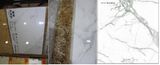 Building Material Foshan Natural Full Body Marble Porcelain Stone Tile