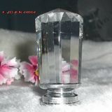 Dia. 25mm Special Crystal Cabinet Door Knob in Silver