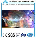 Decoration for Aquarium/Fish Aquarium/Glass Aquarium