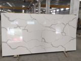 New Arrival White Calacatta Quartz Stone with Big Slab Size 126