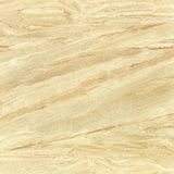 Best Quality Marble 12X24 Producer (8D61154)