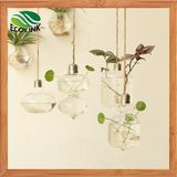 Hanging Glass Vase Water Flower Vases