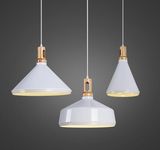 Aluminum Pendant Lamp with Wood Decorative (WHP-055)