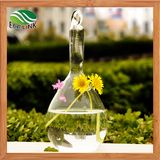 Transparent Crystal Glass Hanging Vases