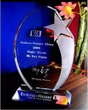 Exquisite Recognition Award Crystal Glass Trophy