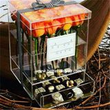 Custom Plastic Acrylic Fancy Chocolate Box Packing