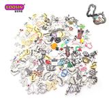 Alloy Resin Mixed Floating Charms Glass Memory Lockets
