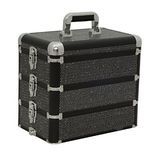 Crystal Black 3-in-1 Professional Makeup Artist Cosmetic Train Case Organizer Storage,