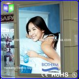 Aluminum Alloy Frame Light Box with Aluminum Profile Frame Advertising LED Light Box