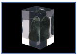 Clear Acrylic Paperweight with Paper Embedment
