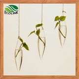 Water Planting Flower Vase Hydroponics Flower Vase