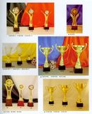 Sports Trophy