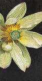 Water Lily Glass Hand Cut Art Mosaic Picture (CFD98)