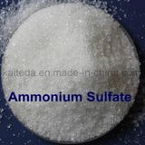 Powder (NH4) 2so4 Ammonium Sulphate as Fertilizer