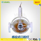 Induction Oral Cold Light Lamp Dental LED Shadowless Operating Lamp