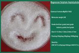 Cheaper Chemical 99.5% Agriculture Grade Magnesium Sulfate