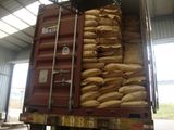 Competitive Price Monohydrate Dextrose for Power