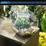 Geometric Pyramid Terrarium Candle Tea Light Holder Plant Vase