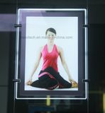 Window Display Double Side Crystal Acrylic LED Light Box Display