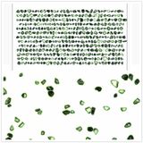 DMP-C Synthetic Diamond Powder for Industrial for Abrasive Compound