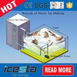 Quick Freeze Salt Water Commercial Slurry Ice Machine