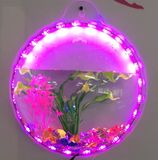 Small Mounted Mounted Acrylic Fish Bowl