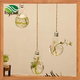 Light Bulb Shaped Hanging Glass Vase