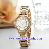 Custom Logo Watch Customize Woman Wrist Watches (WY-018D)