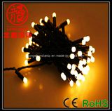 LED Blister String Light