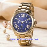 Stainless Steel Watch with Unisex ODM Fashion Wrist Watch (WY-G17005B)