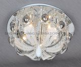 Glass Home Stylish Ceiling Lamps