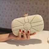 Trendy Hand Bag Clutch Handbag for Wedding or Party (Dream-100042)