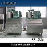 Focusun (FIM-3000G) Cube Ice Maker with Factory Price