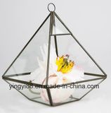 Wholesale Glass Geometric Terrarium for Hanging