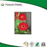 2.8 Inch Viewing Angle 12 O'clock TFT LCD Display Module