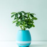 Creative Gift Bluetooth Speaker Supporting Negative Ions and Aroma Crystal