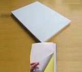 Can ⪞ Ustomed Dust Paper A4 Sticker